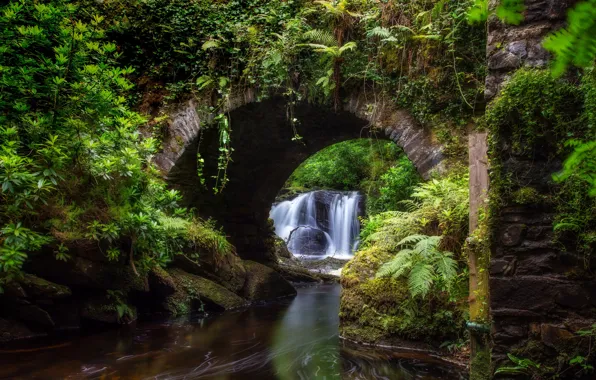 Greens, summer, leaves, branches, bridge, river, thickets, waterfall