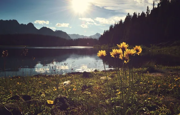 Picture grass, the sun, clouds, flowers, mountains, lake, reflection, mirror