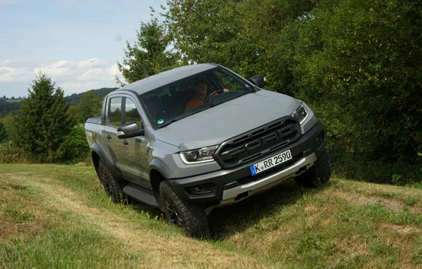 Picture grass, trees, grey, Ford, Raptor, pickup, Ranger, 2019