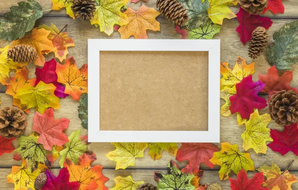 Autumn, leaves, background, tree, frame, colorful, maple, wood