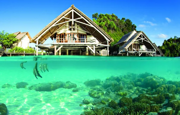 Water, transparency, fish, the ocean, resort, Laguna, under the lagoon