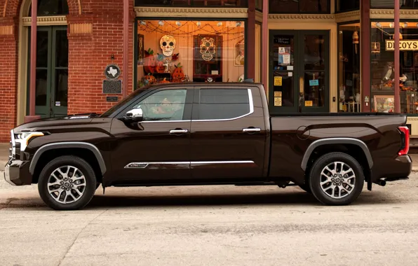 Toyota, shop, brick wall, showcase, Tundra, CrewMax, 2022, 1794 Edition