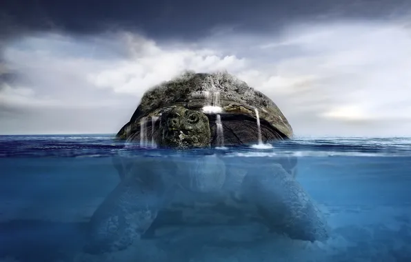 Water, background, turtle