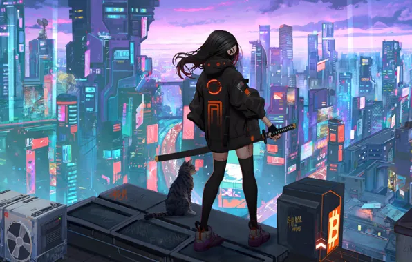 Picture cat, future, sword, katana, skyscrapers, The city, future, City