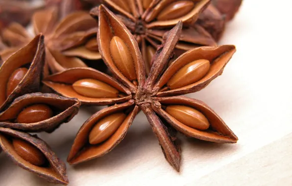 Picture fruit, stars, star anise, Anis, spice