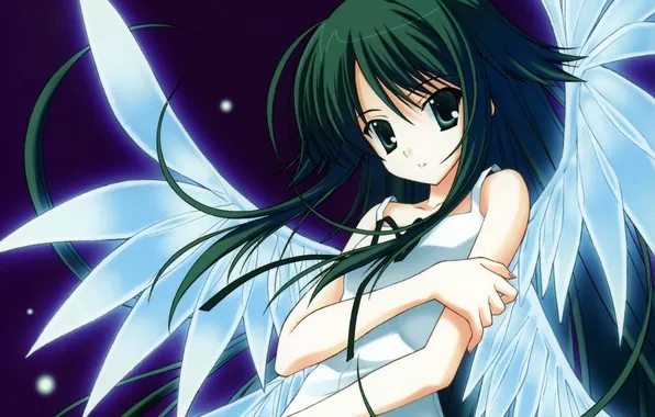 Girl, wings, anime, art, Song of Saya, Saya no Uta, Saya, song SAI