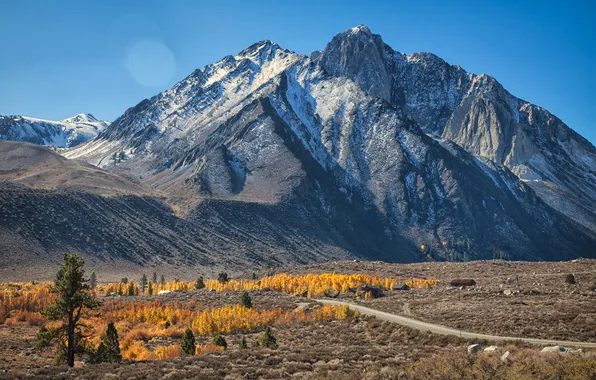 Road, autumn, the sky, mountains, home, valley
