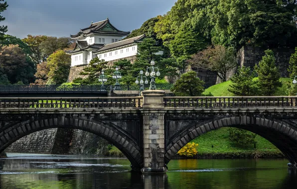 Trees, river, Japan, Tokyo, lights, bridges, the bushes, Palace