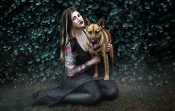 Girl, background, dog