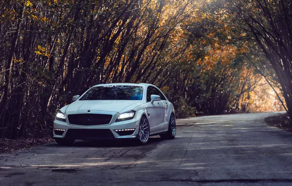 Road, trees, tuning, Mercedes, mercedes cls 63 amg