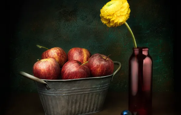 Flower, yellow, the dark background, wall, apples, bottle, ball, red