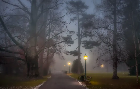 Trees, park, people, fog, path, foggy, benches, lamp posts
