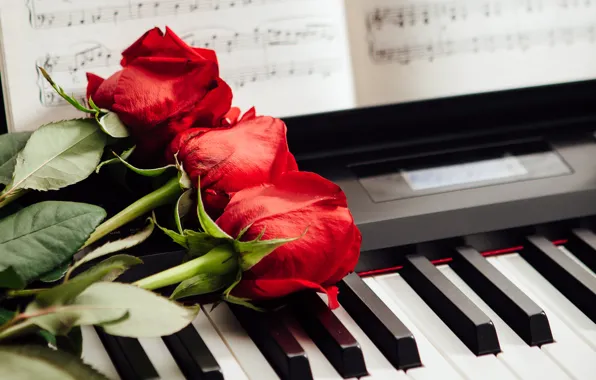 Notes, roses, keys, red, three, piano