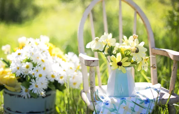 Picture summer, grass, flowers, nature, chamomile, chair, vase, barrel