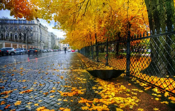 Picture autumn, leaves, rain, the fence, umbrella, St. Petersburg, Catherine Park