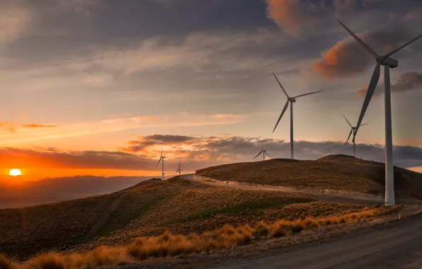 Road, sunset, windmills