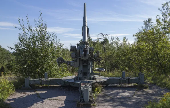 Nature, gun, anti-aircraft gun