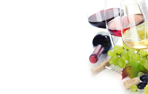 Wine, red, white, bottle, glasses, grapes, corkscrew, leaves