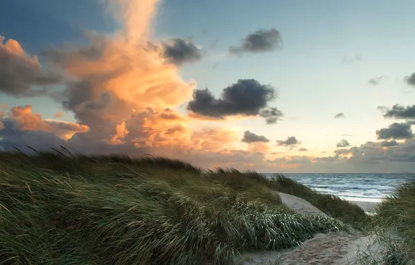 Sand, sea, grass, clouds, the wind