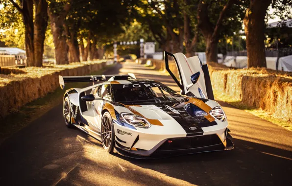 Picture Ford, Trees, door, Ford GT, sports car, Mk II