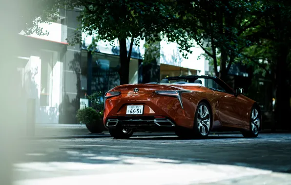 Trees, street, Lexus, convertible, 2021, LC 500 Convertible