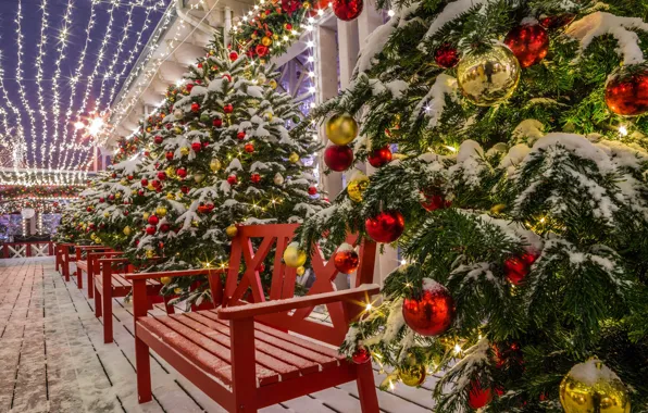 Snow, New Year, Garland, Decoration, Tree, Snow, New Year, Christmas Tree