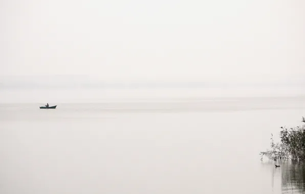 Fog, lake, boat, fisherman, duck
