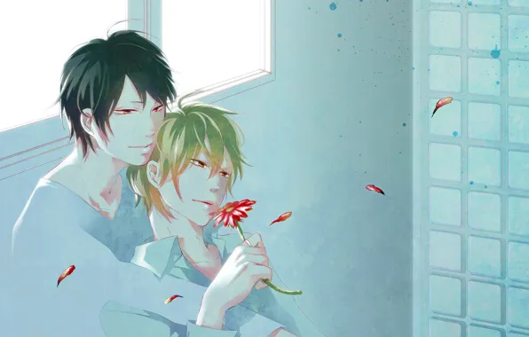 Flower, petals, guys, sitting, gerbera, Durarara, Durarara, Of Izaya Orihara