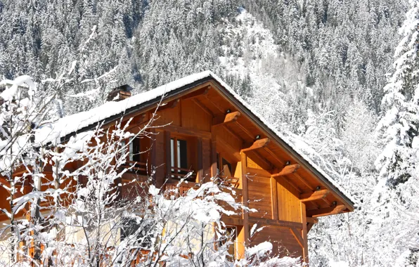 Picture winter, house, style, mood, stay, journey, cottage, winter forest