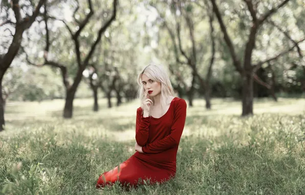 Picture summer, look, girl, nature, pose, garden, dress, blonde