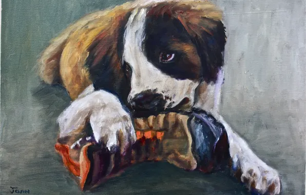 Picture look, animal, dog, paws, ears, painting, shoes, nibbles