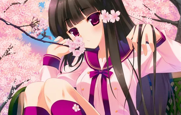The sky, girl, trees, flowers, branch, anime, Sakura, art