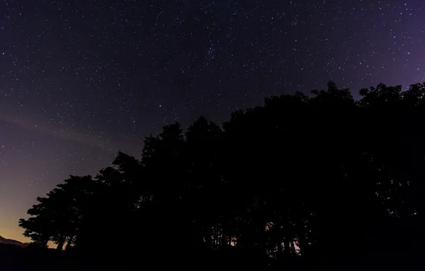 Space, stars, night, space, silhouette