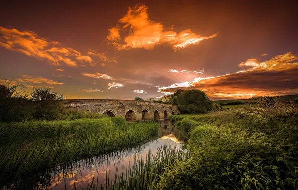 Picture field, the sky, grass, the sun, clouds, flowers, bridge, reflection