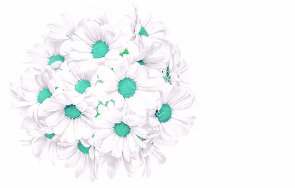 Background, chamomile, bouquet