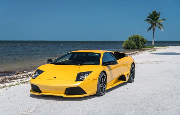 Picture yellow, Lamborghini, Lamborghini Murcielago, Murcielago, Lamborghini