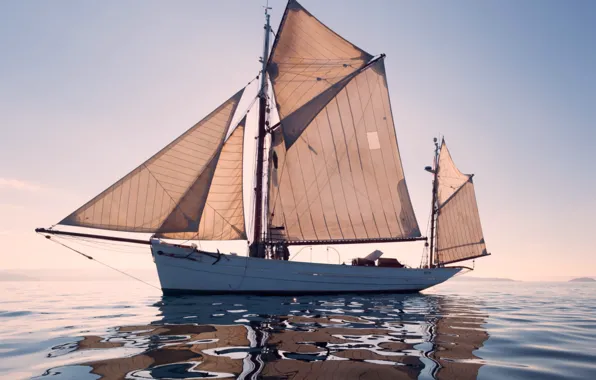 Sea, sailboat, the evening