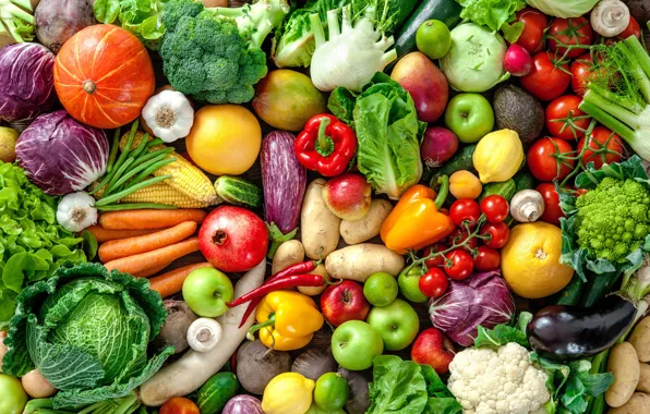 Apples, corn, harvest, eggplant, pepper, fruit, vegetables, tomatoes