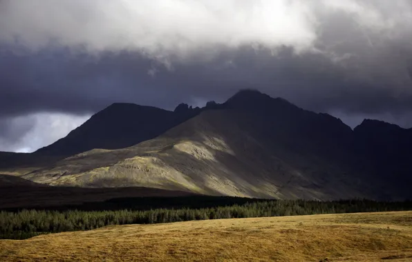 Picture field, the sky, landscape, mountains