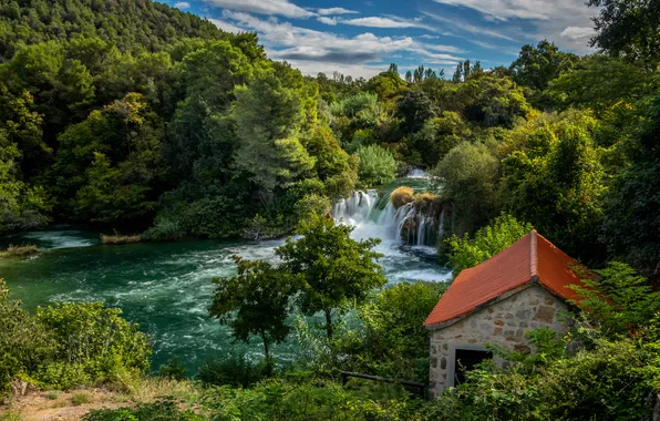 Forest, nature, river, waterfall, house