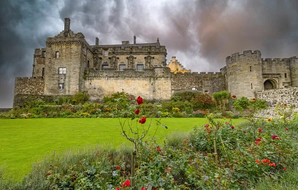 Flowers, castle, lawn