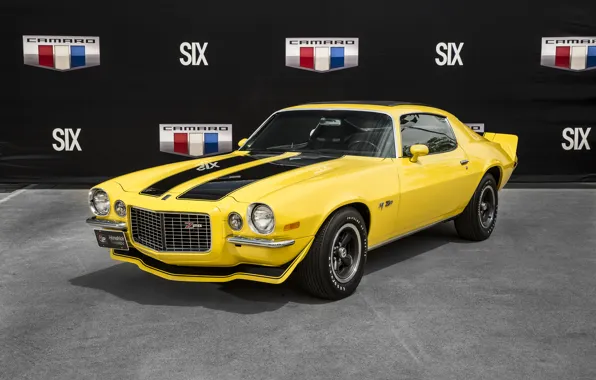 Picture Prototype, Chevrolet, Camaro, Chevrolet, 1970, Camaro, Z28, Hurst Sunshine Special