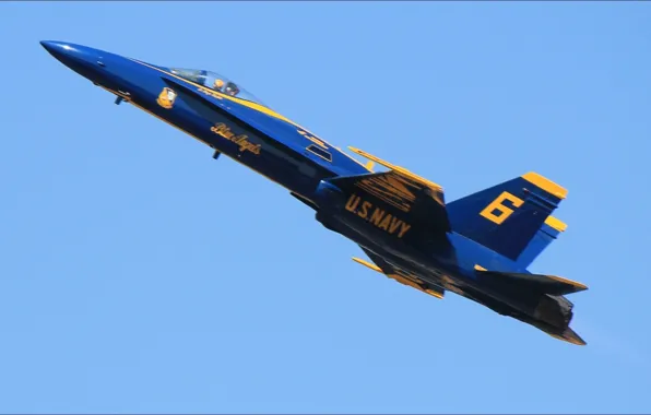 Picture USA, wallpapers, speed, air, Blue Angels, navy