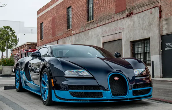 Picture car, veyron, bugatti, super, vitesse