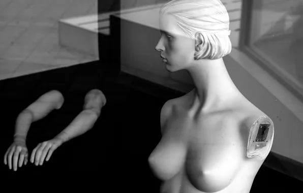 Reflection, black and white, sculpture, bust, Denis Trufanov