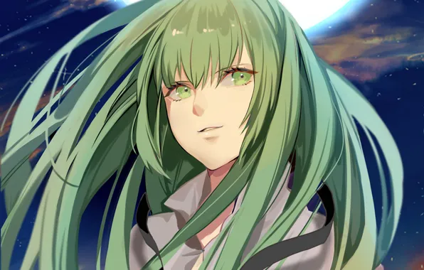 Picture look, green hair, Enkidu, Fate strange fake