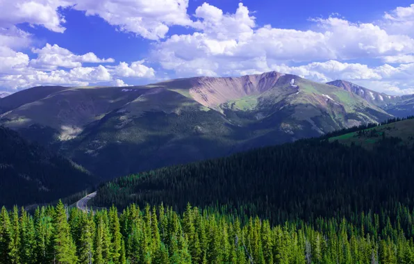 Forest, clouds, light, mountains, blue, the slopes, height