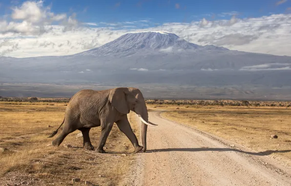 Road, mountains, elephant, the volcano, Kenya, extinct