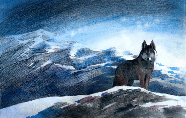 Winter, mountains, blue eyes, grey wolf, Aibek Begalin, Illustrations of Aitmatov, Block color