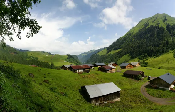 Picture city, nature, Town